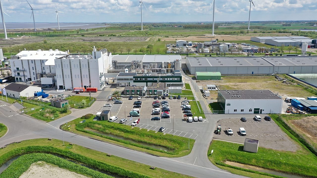 the Zeolyst plant image