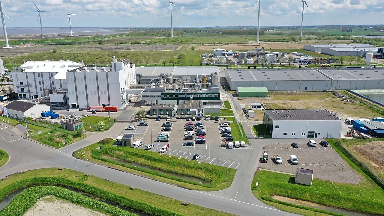 the Zeolyst plant image