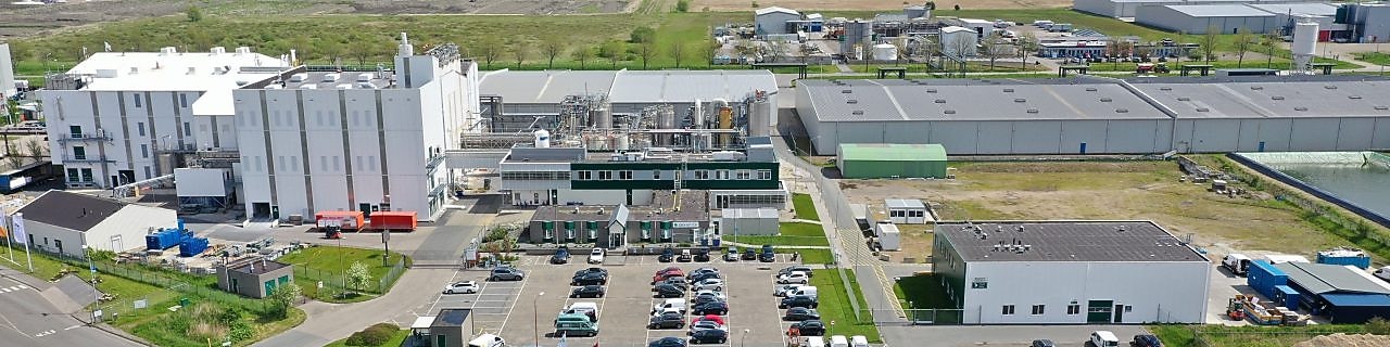 the Zeolyst plant image