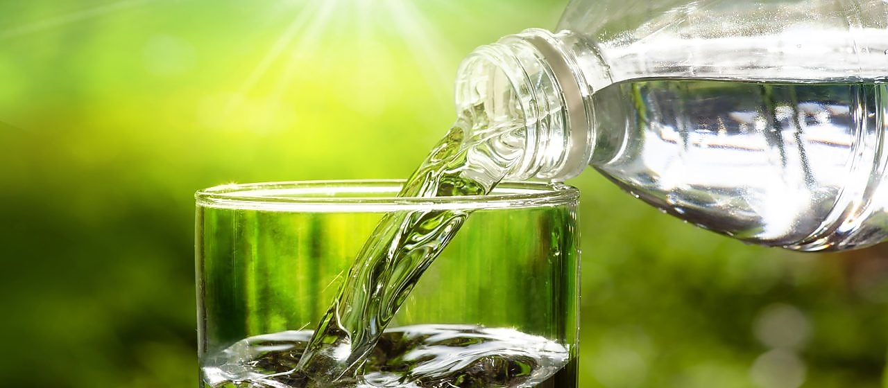 Water poured into a clear glass against a leafy background